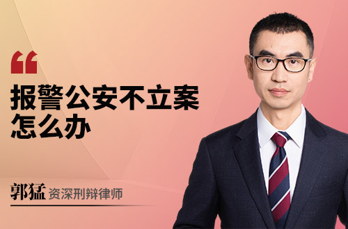 报警公安不立案怎么办