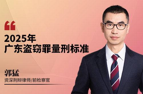 2025年广东盗窃罪量刑标准