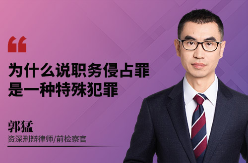 为什么说，职务侵占罪是一种特殊犯罪