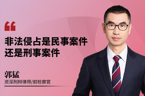 非法侵占是民事案件还是刑事案件