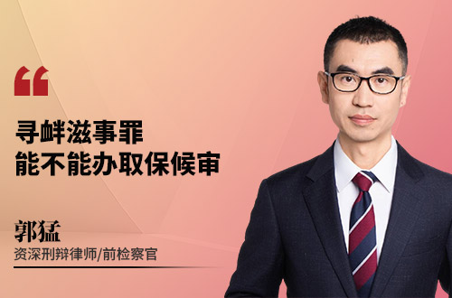 寻衅滋事罪能不能办取保候审