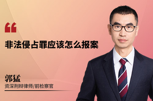 非法侵占罪应该怎么报案