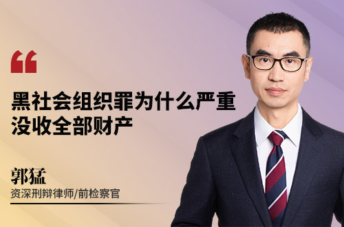 黑社会组织罪为什么严重？没收全部财产
