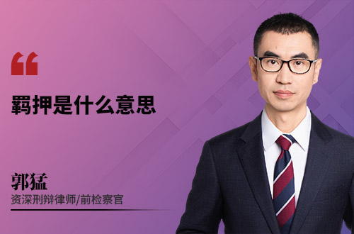 羁押是什么意思