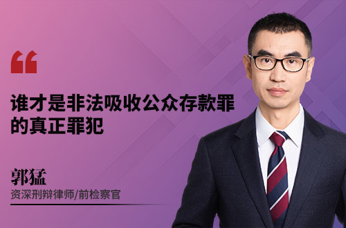 谁才是非法吸收公众存款罪的真正罪犯