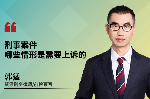 刑事案件，哪些情形是需要上诉的