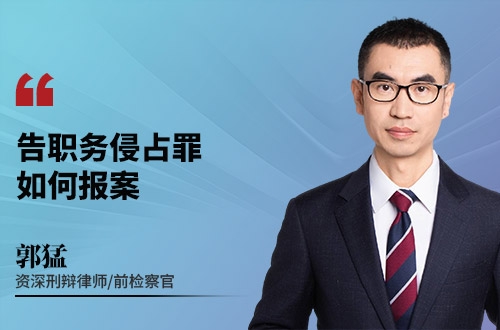 告职务侵占罪，如何报案